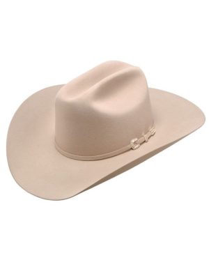Stetson Cowboy Hat 6X Beaver Fur Chocolate SKYLINE With Free Hat Brush