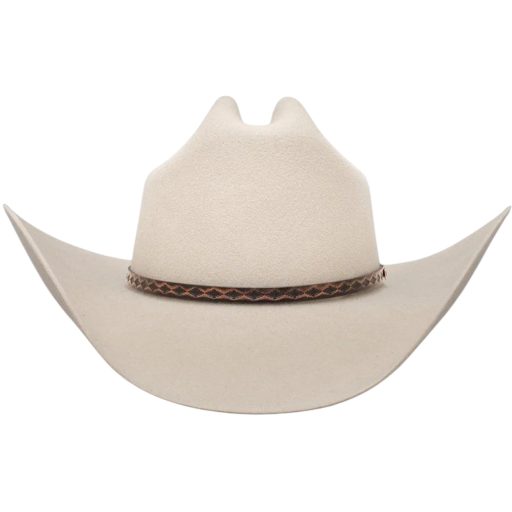Stetson® 5X Medalist Silver Grey 4 1/4" Brim